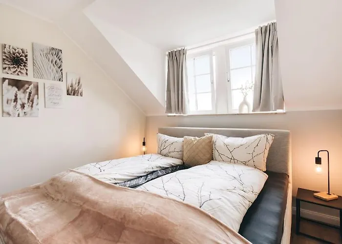 Neu! 100 Qm Apartment Im Zentrum Von Dresden