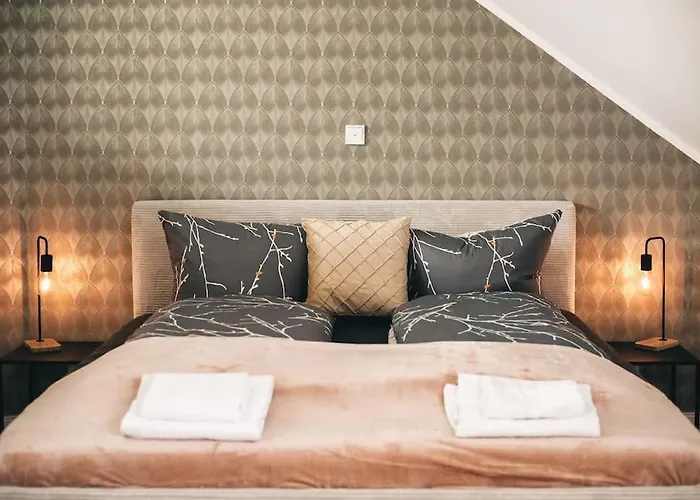 Neu! 100 Qm Apartment Im Zentrum Von Dresden