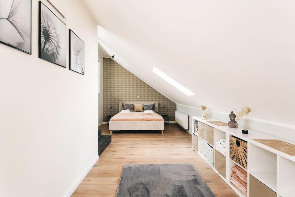 Apartment Neu! 100 Qm Im Zentrum Von Dresden