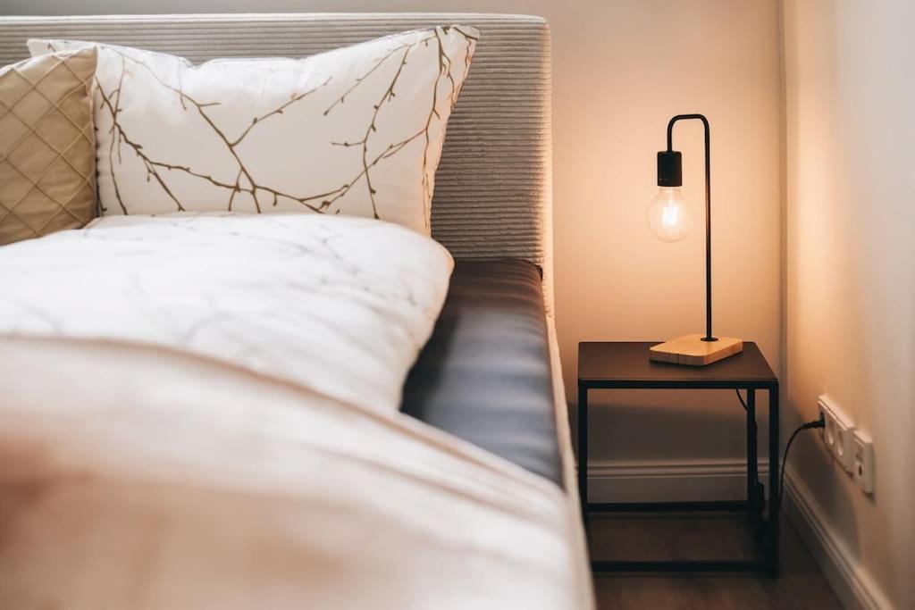 Neu! 100 Qm Im Zentrum Von Apartment Dresden