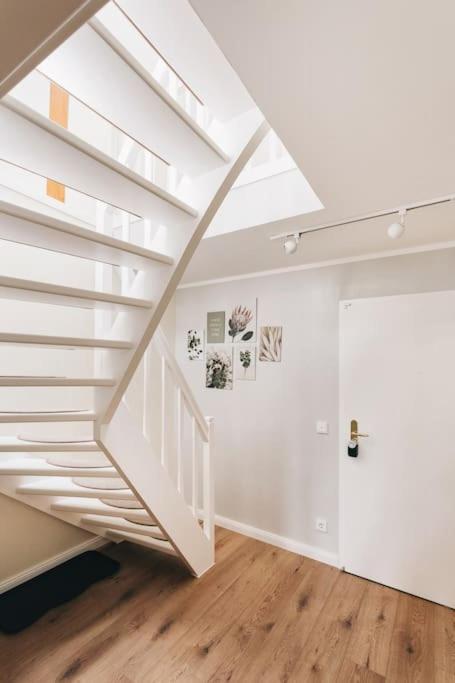 Apartment Neu! 100 Qm Im Zentrum Von Dresden